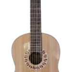EM Guitar Custom Acoustic-Classical