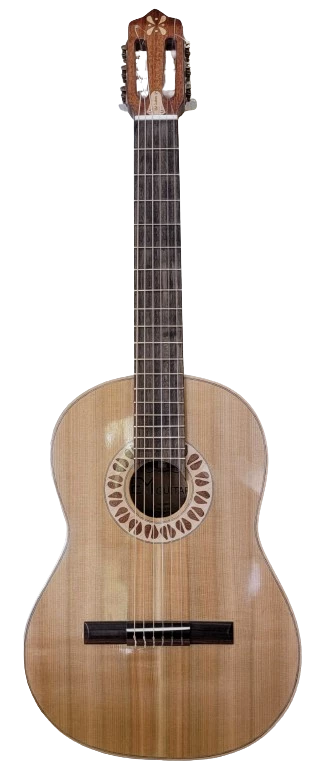 EM Guitar Custom Acoustic-Classical