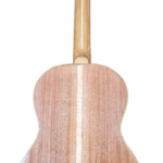 EM Guitars custom Parlor Guitar back view